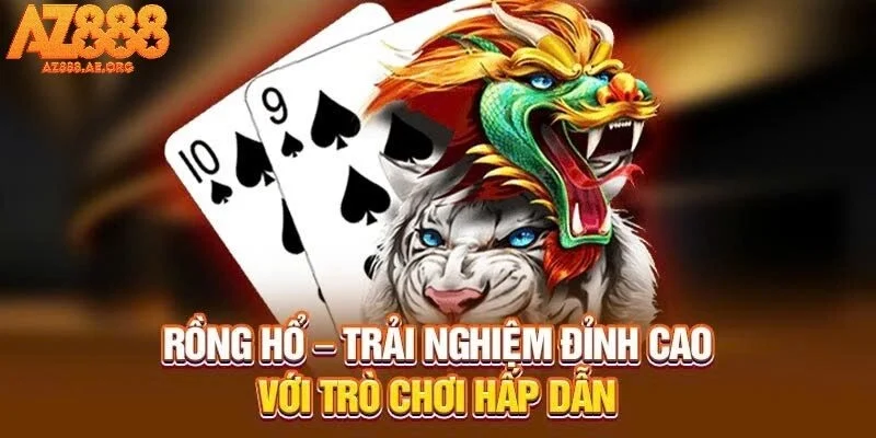 Bài rồng hổ một trải nghiệm chân thực